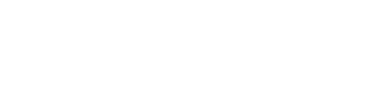 Adidas, clients de l'agence digitale Data Projekt