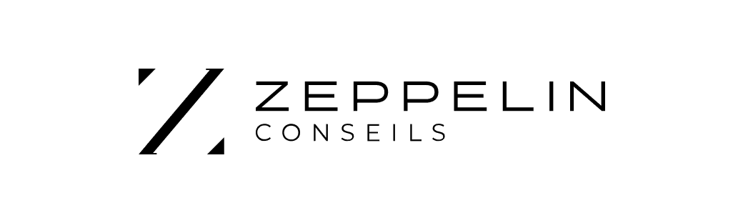 Zeppelin Conseils, client de l'agence digitale Data Projekt